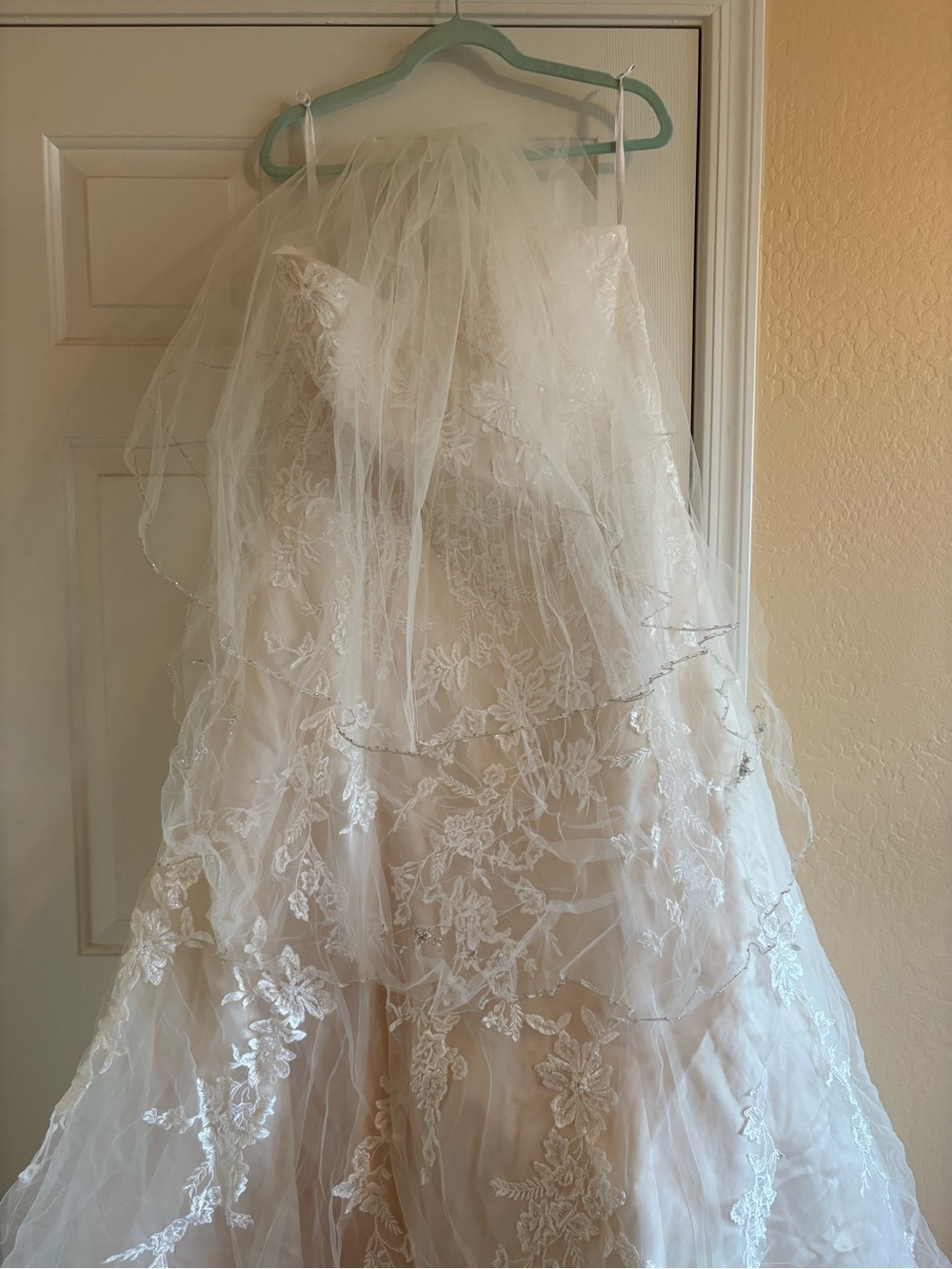 David's Bridal Ivory/Champagne Bridal Gown - Picture 9 of 11
